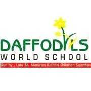 Daffodials World Sikar